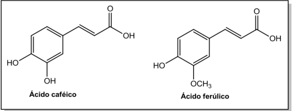 Figura 5  – Estrutura do ácido caféico e ácido ferúlico. 