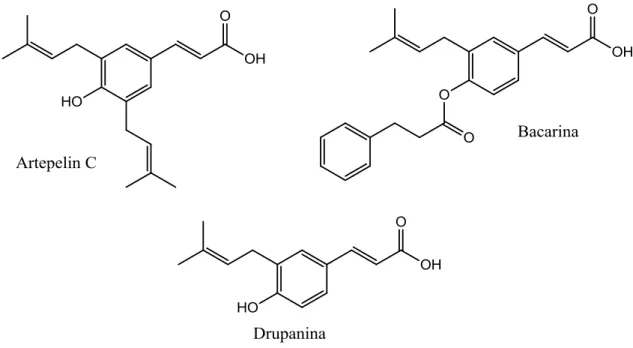 Figura  6  –  Estrutura  dos  derivados  do  ácido  cinâmico  Artepelin  C,  bacarina e drupanina