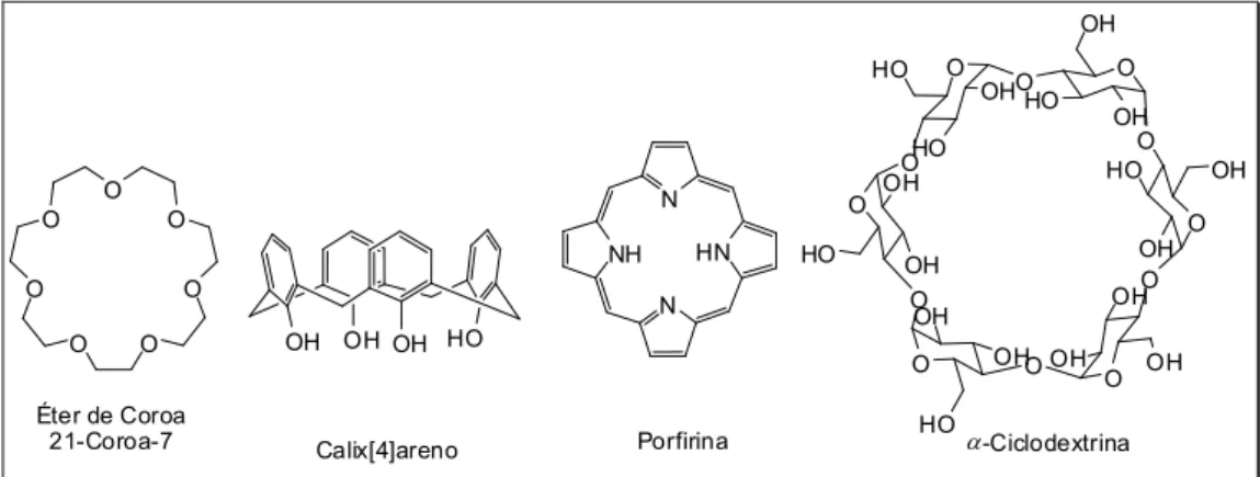 Figura 2 – Exemplos de supramoléculas. 