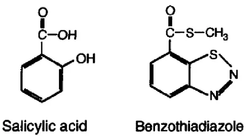 Figura  3  –  Comparação  das  estruturas  dos  indutores  de  respostas  de  defesa  vegetal,  ácido salicílico e acibenzolar-S-metil (BTH)