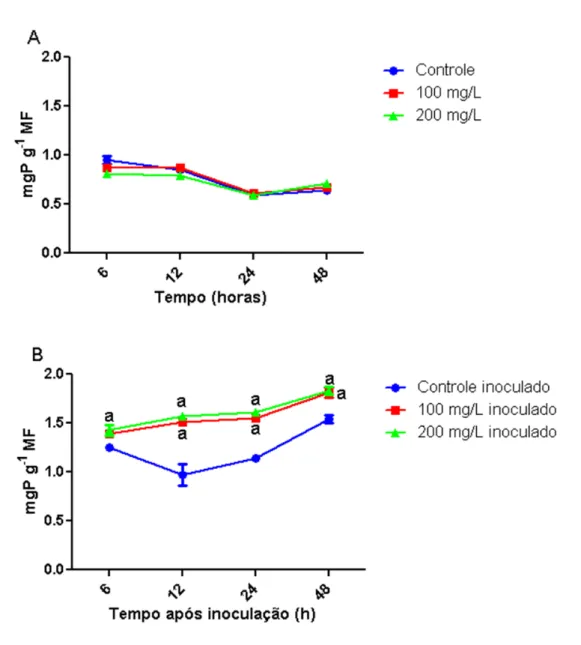 Figura 8. (A) Teor de proteínas de folhas primárias de feijão-de-corda (V. unguiculata), genótipo BR3,  após 6, 12, 24 e 48 horas de tratamento das plantas com a galactomana isolada de sementes de  A