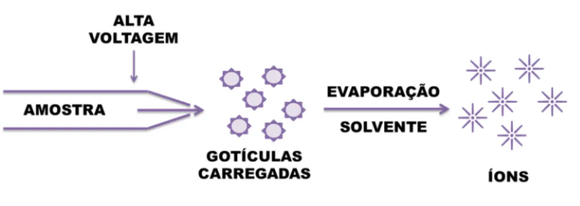 Figura  - Desenho esquemático da nESI 