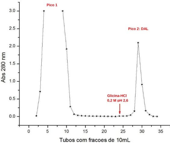 Figura 4 – Perfil cromatográfico da lectina de Dioclea altissima por cromatografia de afinidade  em  matriz  G-50 ®   (GE  Health  Care)