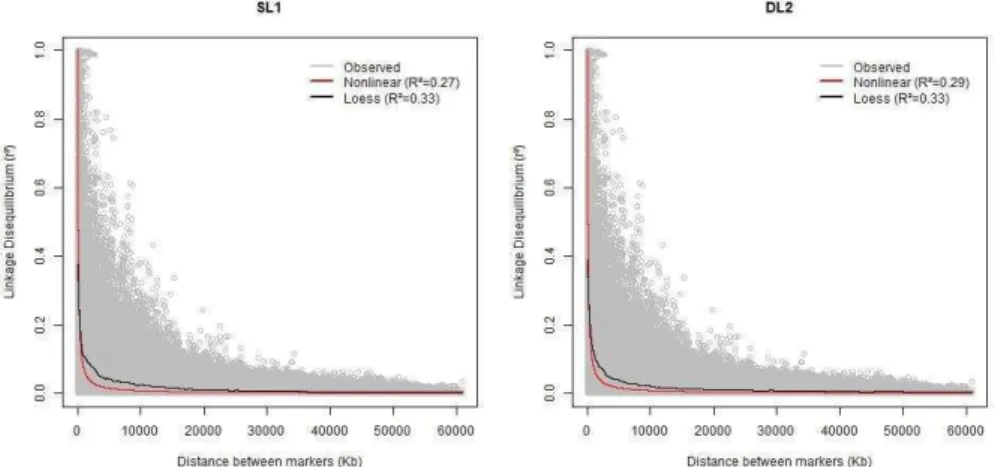 Figure  3.1  Observed  and  predicted  values  of  linkage  disequilibrium  (r²)  in  relation  to  the  distance  on  SSC18  using  nonlinear  and  loess  regression  for  two pig lines (SL1 and DL2)