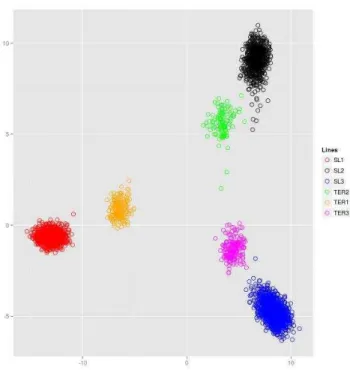 Figure 4.2 Genomic relationships heat map. 