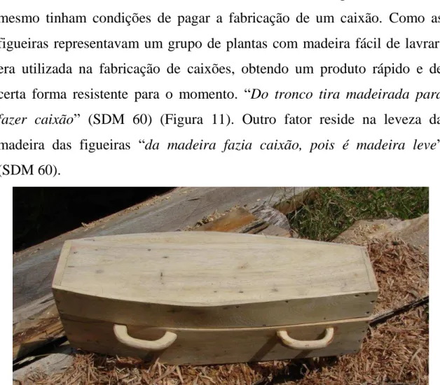 Figura 11: Caixão construído com madeira do lenho de Ficus glabra. 