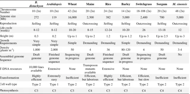 Table 1. Comparison of Brachypodium distachyon with other models and crops 