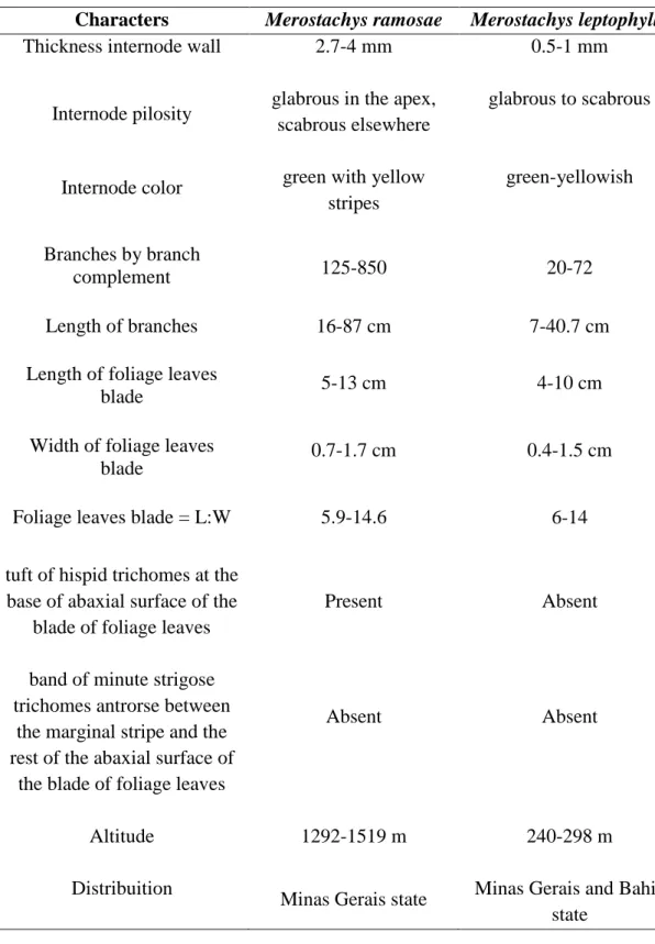 Table II: Morphological comparison of M. ramosae and M. leptophylla  Characters Merostachys ramosae Merostachys leptophylla