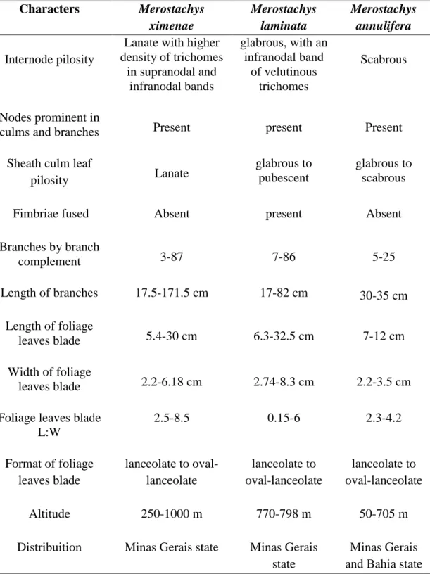 Table III - A morphological comparison of M. ximenae, M. laminata and M.  annulifera  Characters  Merostachys  ximenae  Merostachys laminata  Merostachys annulifera  Internode pilosity 