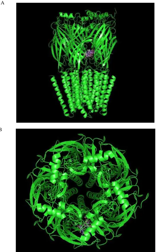 Figura  11:  a)  Estrutura  tridimensional  do  receptor  GABA A   (PDB  ID:  4COF)  com  os  clusters  mais  energéticos sobrepostos em um sítio de ligação na porção rica em folhas- 
