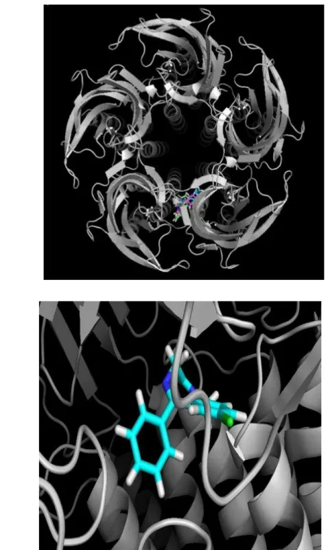 Figura 14: a) Visão superior do canal GABA A  complexado com os clusters mais energéticos de   Diazepam  (colorido):  evidencia  de  que  a  função  do  canal  não  é  comprometida  por  impedimentos  estéricos  e  químicos