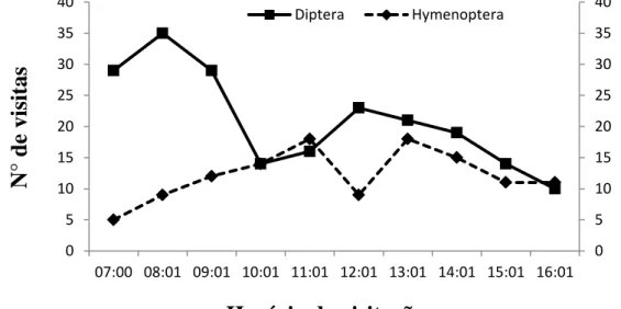 Figura 9: Frequência média das duas ordens de visitantes florais em Ditassa burchellii, registrada  das 7:00 às 17:00h, em quatro dias de abril de 2014, na Mata do Paraíso, em Viçosa, Minas Gerais.