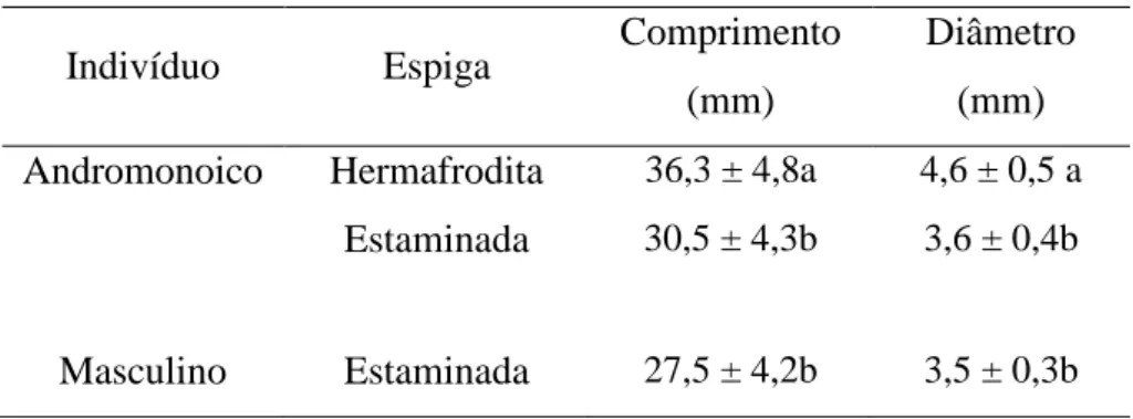 Tabela  1.  Médias  das  dimensões  das  espigas  com  flores  hermafroditas  e  estaminadas  de  Piper  caldense
