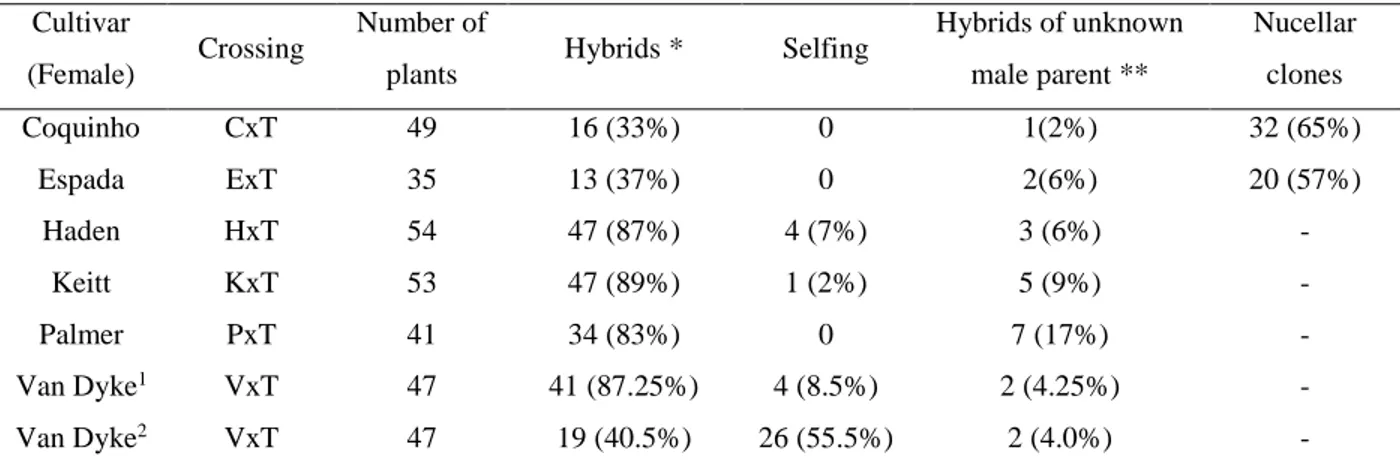TABLE 2: Number of plants, hybrids, selfing and putative nucellar clones of the female genitor