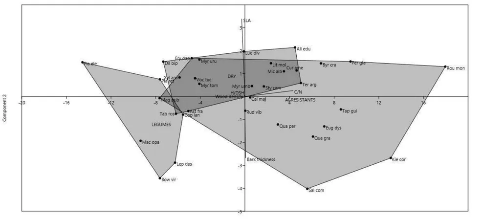 Figure 2. Ordination of 34 most representative plant species for Cerrado community of Paraopeba, Minas Gerais, along two main axes of PCA