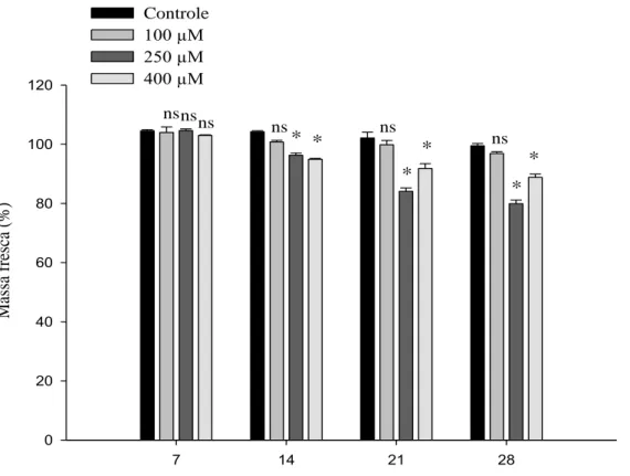 Figura 7  – Médias das massas frescas de Strelitzia reginae acondicionadas em soluções  de pulsing com diferentes doses de MJ (100 µM, 250 µM e 400 µM) e o controle (sem  MJ),  armazenadas  à  5 °C, em  cada dia de avaliação (7, 14, 21 e 28)