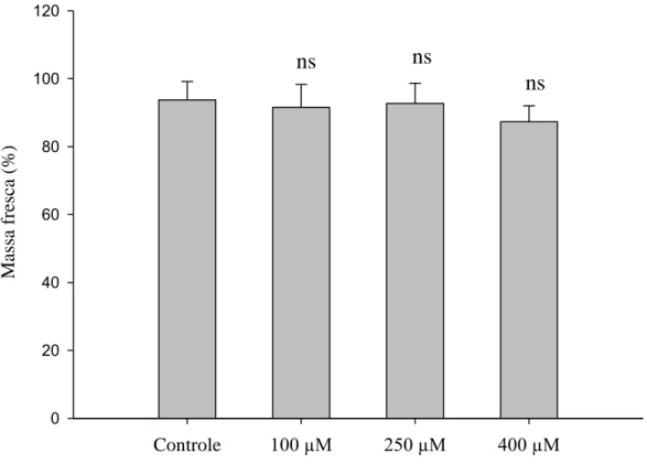 Figura 8  – Médias das massas frescas de Strelitzia reginae acondicionadas em soluções  de pulsing com diferentes doses de MJ (100 µM, 250 µM e 400 µM) e o controle (sem  MJ) no sétimo dia de armazenamento à temperatura ambiente