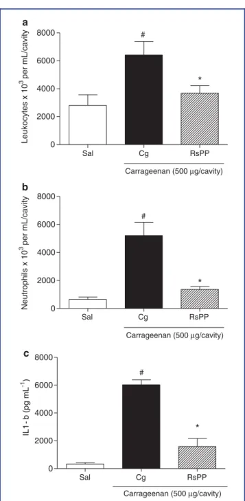 Figure 6. The inhibitory effect of proteins from Rhinella schneideri parotoid gland (RsPP) on cell migration and cytokine production in the carrageenan-induced peritonitis model