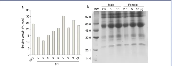 Figure 1. Protein content in nondialyzed crude material of Rhinella schneideri parotoid gland (male) evaluated using Bradford’s method (a) and polyacrylamide gel electrophoresis (12.5%) in the presence of SDS (b)