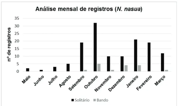 Gráfico  1  -  Número  de  registros  mensais  de  quati  (N.  nasua)  na  Estação  Ecológica  Água  Limpa
