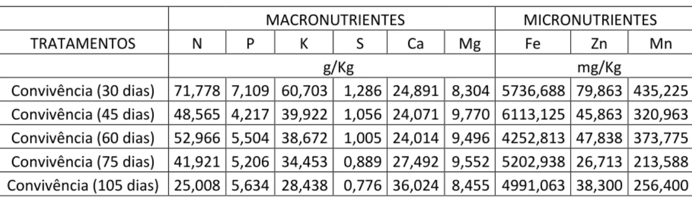 Tabela 2: Média dos teores de Macro (N, P, K, S, Ca e Mg) e Micronutrientes ( Fe, Zn e Mn)  de C