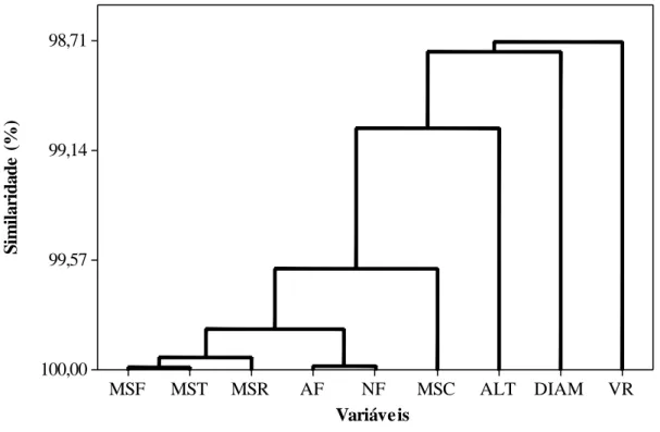 Figura  8:  Dendograma  aplicado  a  matéria  seca  de  folha  (MSF),  caule  (MSC),  raiz  (MSR),  matéria  seca  total  (MST),  área  foliar  (AF),  número  de  folhas  (NF),  volume  de  raiz  (VR),  altura  (ALT)  e  diâmetro (DIAM) do eucalipto, aos 1