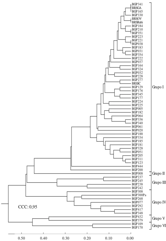 Figura  5.  Dendrograma  de  dissimilaridade  genética  de  64  acessos  de  maracujazeiro,  estabelecido pelo método do UPGMA, obtido a partir de 40 descritores qualitativos