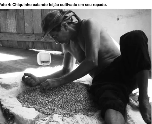 Foto 4: Chiquinho catando feijão cultivado em seu roçado. 