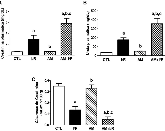 Figura  7  –   Efeitos  da  acidose  metabólica  na  função  renal  de  ratos  submetidos  à  isquemia/reperfusão renal  CTL I/R AM AM+I/R02468aa,b,cbCreatinina plasmática (mg/dL) CTL I/R AM AM+I/R0100200300400500aba,b,cUreia plasmática (mg/dL) CTL I/R AM 