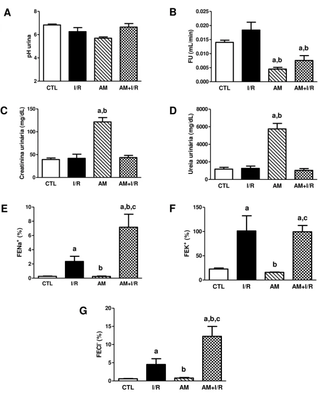 Figura  9  – Efeitos  da  acidose  metabólica  nos  parâmetros  urinários  de  ratos  submetidos à isquemia/reperfusão renal 