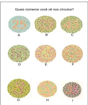 Figura γ - Método de Ishihara para teste de visualização de cor. 