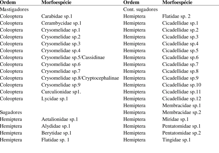 Tabela  2.  Lista  de  morfoespécies  dos  insetos  adultos  encontrados  em  indivíduos  juvenis  de 