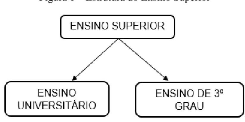 Figura 1  –  Estrutura do Ensino Superior 