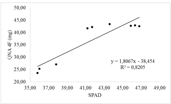 Figura  5  –  Relação  entre  a  quantidade  de  N  acumulada  na  quarta  folha  e  o  SPAD na quarta folha de batata, aos 21 dias após a emergência, cultivar