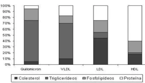 FIGURA 1-Percentual aproximado dos componentes das lipoproteínas.  
