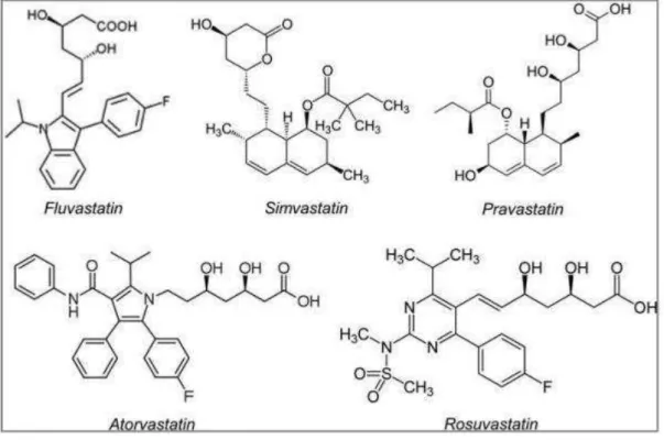 FIGURA  -  6:  Estrutura  química  de  algumas  estatinas  mais  utilizadas.  A  rosuvastatina  é 
