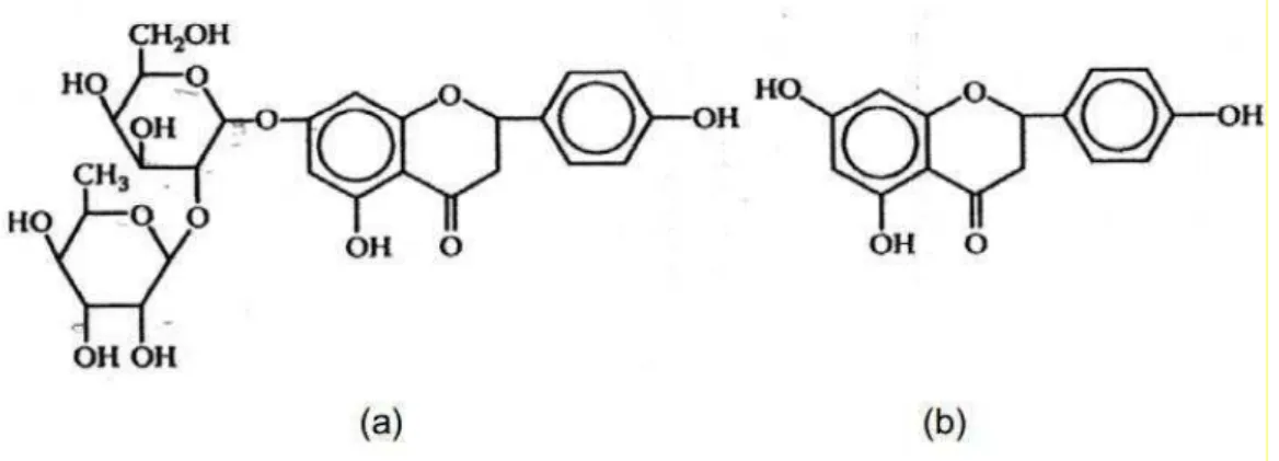 FIGURA 12. Estrutura química da naringina em (a) e da naringenina em (b). FONTE: (AHMED  et al