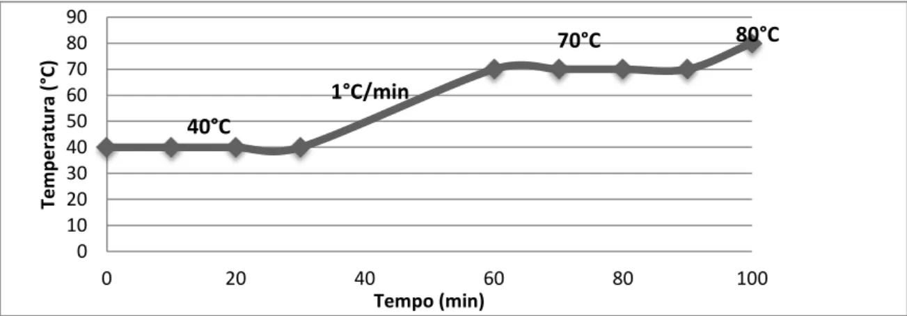 Figura 5  –  Programação de tempo e temperatura no processo de mosturação por infusão