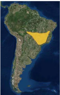 Figura 2. Área de distribuição de Geositta poeciloptera. (Fonte: IUCN). 