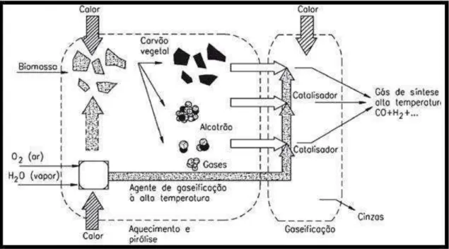 Figura 1 - Principais Etapas da Gaseificação de Biomassa  (LORA, ANDRADE,  et al., 2013)