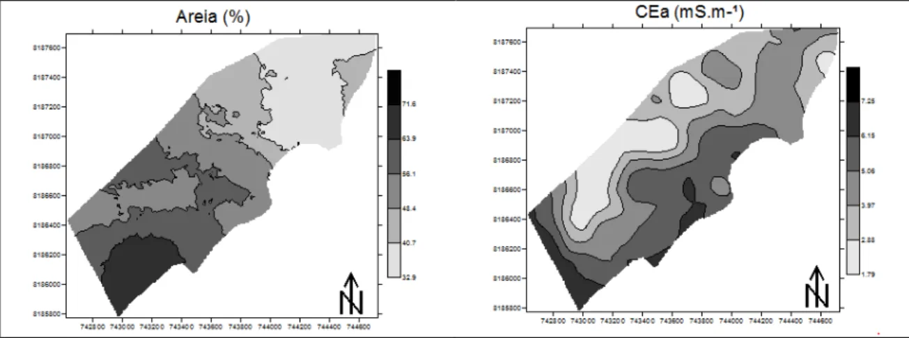 Figura  4.3  (Continuação)  -  Mapas  de  contorno  dos  atributos  do  solo  e  mapas  de  produtividades 