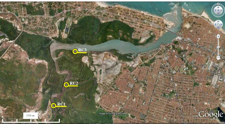 Figura 3 μ Estações Estuário do Rio Ceará (foz S 3°42.046’ – W 38°35.471’);  Datum: WGS 84  –  Fonte:  Google Earth™ 