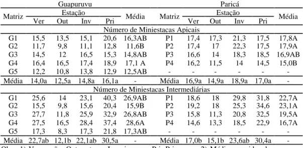 Tabela  3  –  Número  de  miniestacas  apicais  e  intermediárias  por  metro  quadrado  (NMAp  e  NMIn)  em  função  de  cinco  matrizes  de  guapuruvu  (Schizolobium 