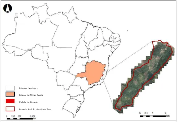 Figura  1.1  – Localização  geográfica  da Fazenda Bulcão  no município  de Aimorés,  MG