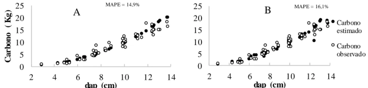 Figura  2.1  –  Gráficos  de  dispersão  das  quantidades  de  carbono  estimado  e  observado  nos  fustes  com  casca  em  função  dos  diâmetros  (dap)  para  Schumacher  &amp;  Hall  (1977)  (A)  e  Spurr  (1952) modificado  (B)