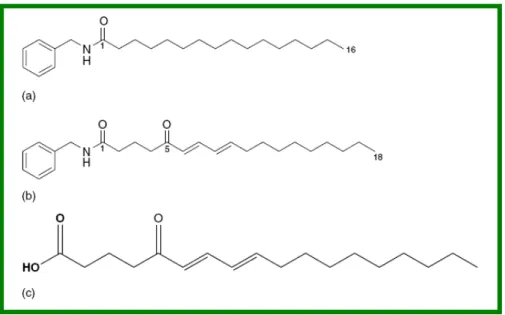 Figura  5  -  Estrutura  Química  dos  compostos  “Maca - específicos”  isolados  das  folhas  e  hipocótilos da Lepidium meyenii