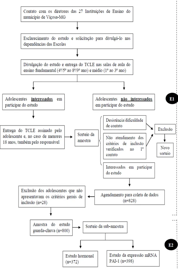 Figura 1. Etapas da seleção amostral. 