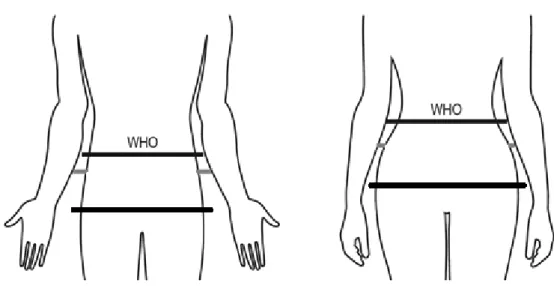Figura 5. Localização dos perímetros da cintura e do quadril, de acordo com as técnicas 