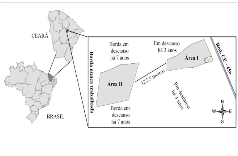 Figura 1- Mapas do Brasil, estado Ceará e município de Choró, destacando as áreas de cultivo agroecológico de  algodão (Gossypium hirsutum cv CNPA -7MH)