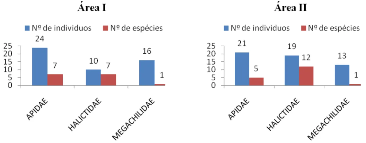 Figura  8  –   Número  de  indivíduos  e  de  espécies  de  abelhas  por  família,  coletados  visitando  flores  do  algodoeiro ( Gossypium  hirsutum  L